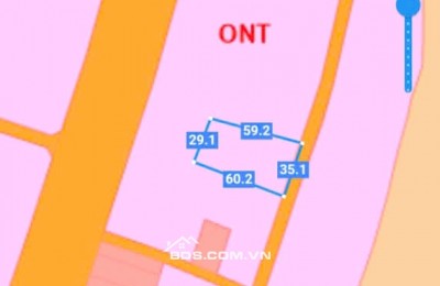 ĐẤT CẨM MỸ LÀM NHÀ VƯỜN